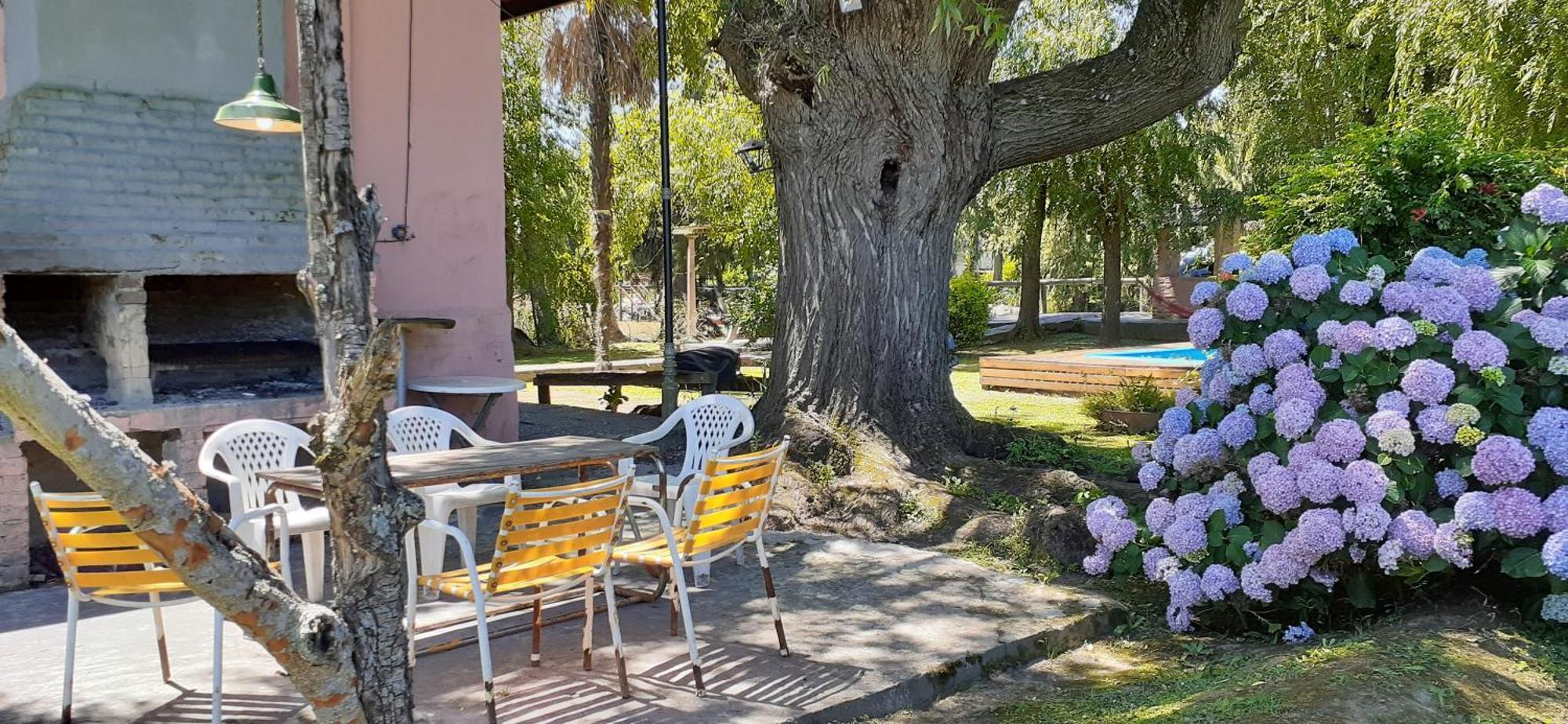 Guitarra Negra Villa Tigre Dış mekan fotoğraf