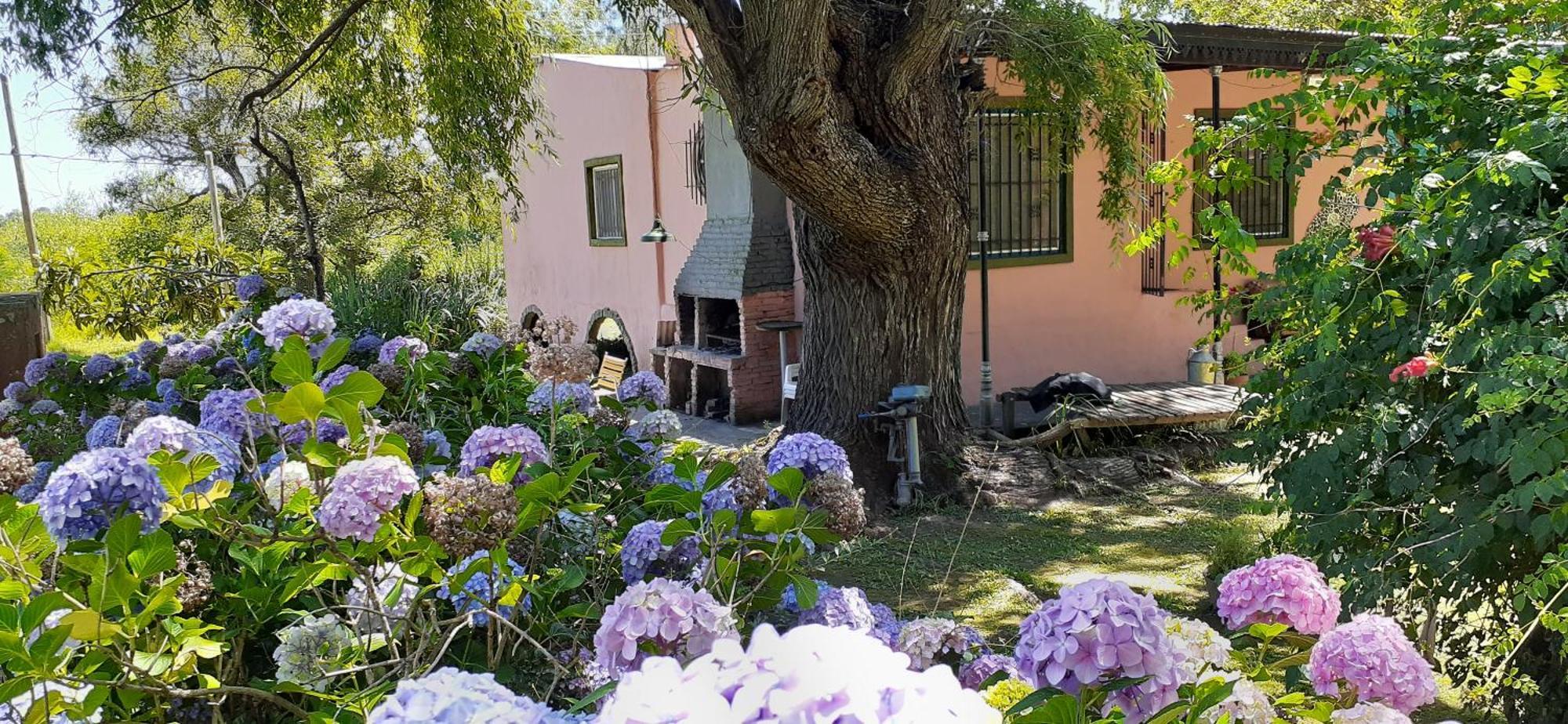 Guitarra Negra Villa Tigre Dış mekan fotoğraf