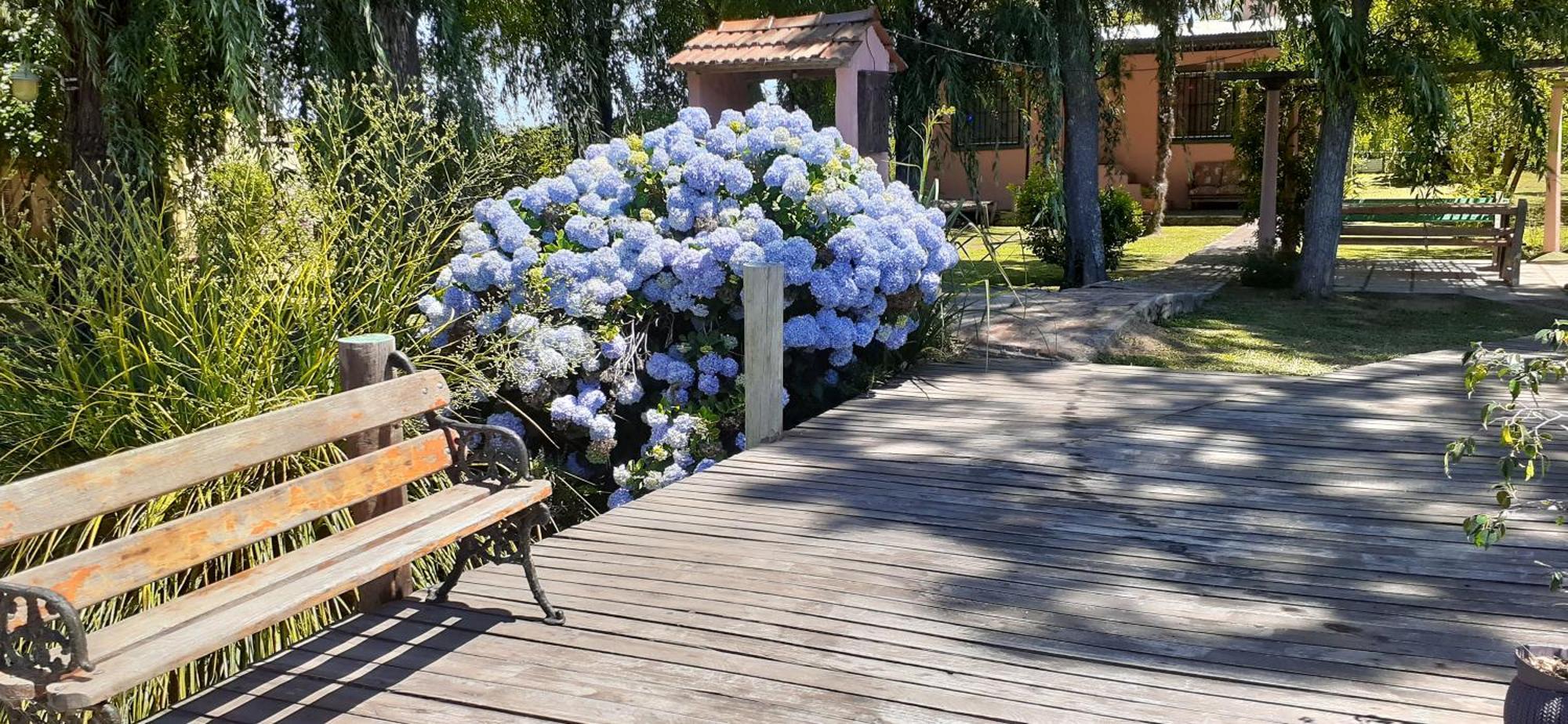 Guitarra Negra Villa Tigre Dış mekan fotoğraf